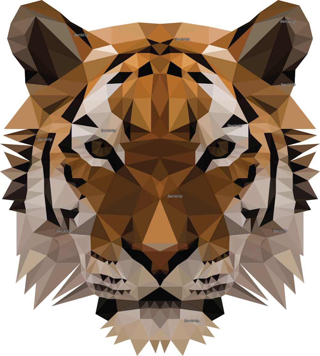 Strijkapplicatie tijger geometrisch